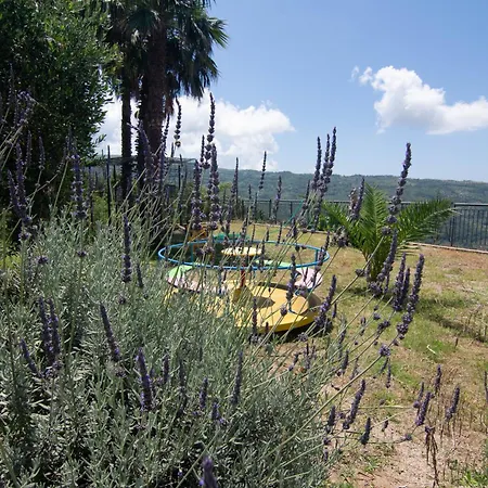 Il Falco Del Cilento