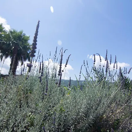 Farm stay Il Falco Del Cilento