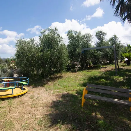 Il Falco Del Cilento