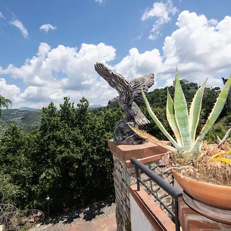 Farm stay Il Falco Del Cilento Torchiara