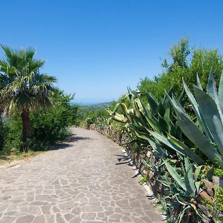 Il Falco Del Cilento * Torchiara